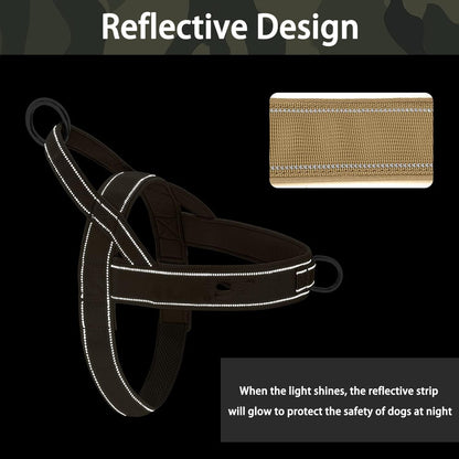 Large Dog Harness Set