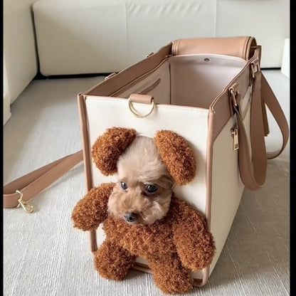 Small Pet Carrier