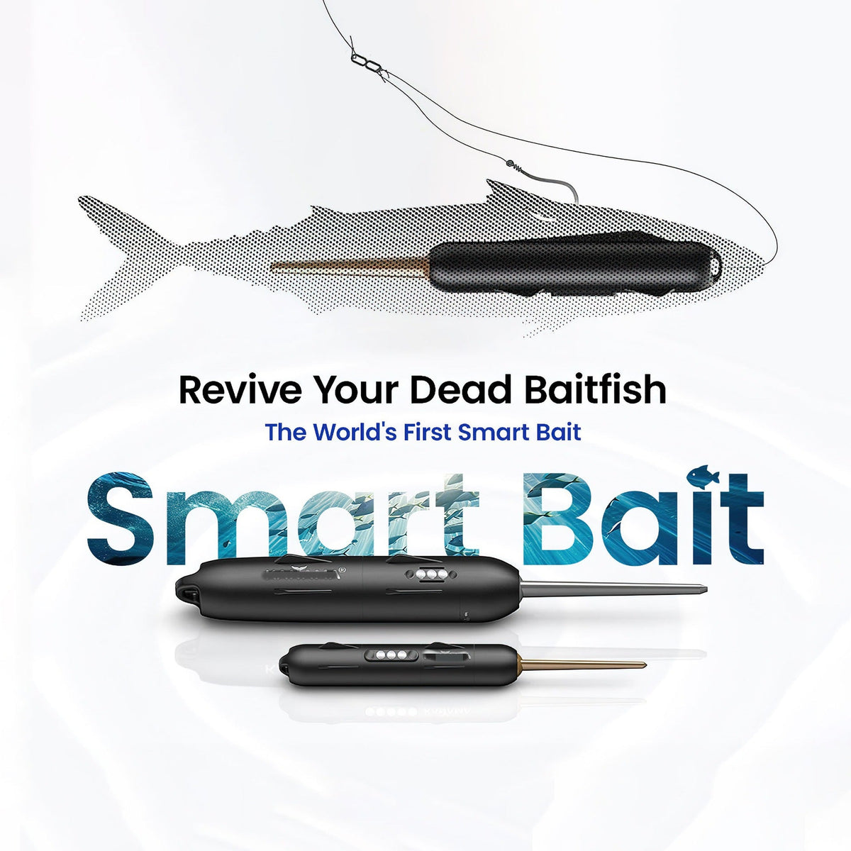 Electric Live Bait Reviver Fishing Gear