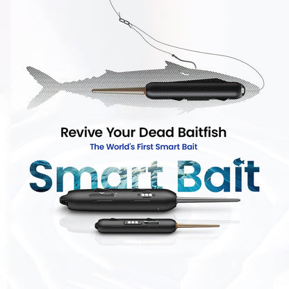 Electric Live Bait Reviver Fishing Gear