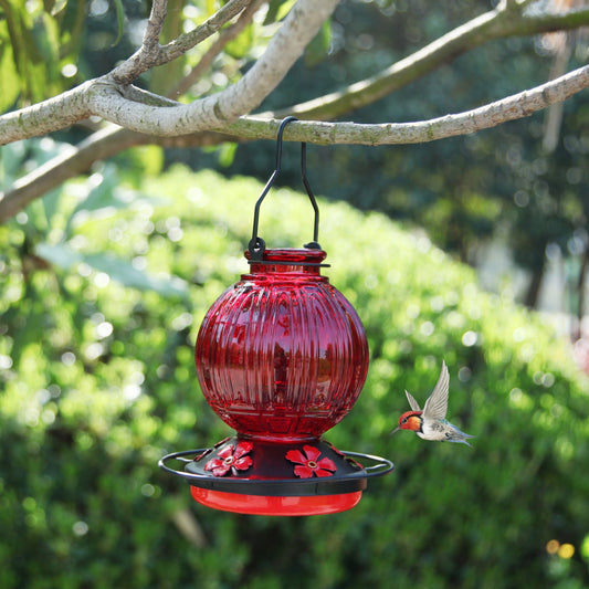 Glass Hummingbird Feeder