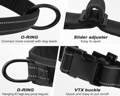 Large Dog Harness Set
