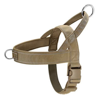 Large Dog Harness Set