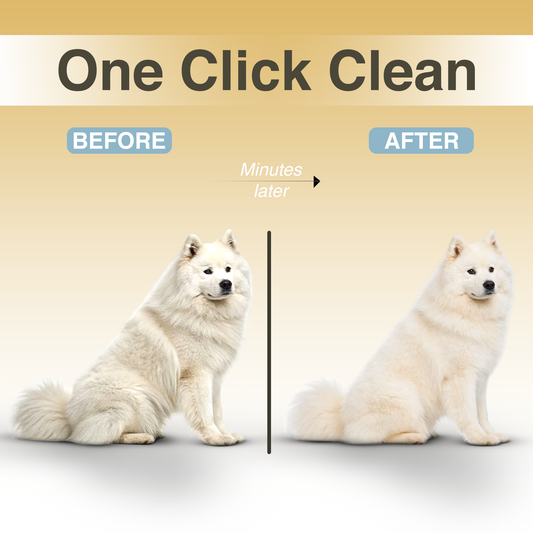Self-Cleaning Mist Pet Brush