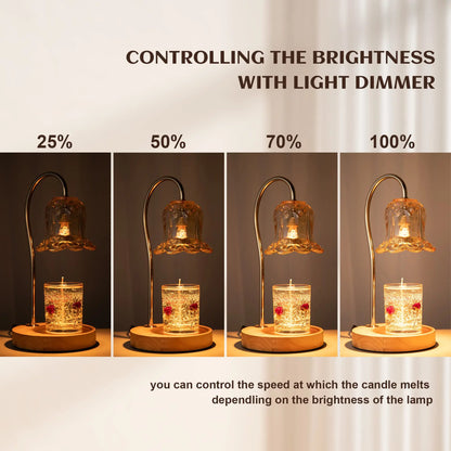 Wax Melter Candle Lamp