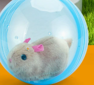 Interactive Spinning Pet Toys