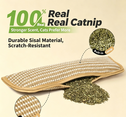 Catnip Molar Chew Pillows