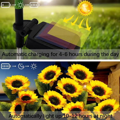 Solar Sunflower Lights