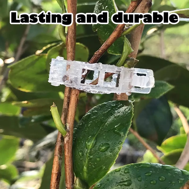 100 Counts Plant upright growth support device