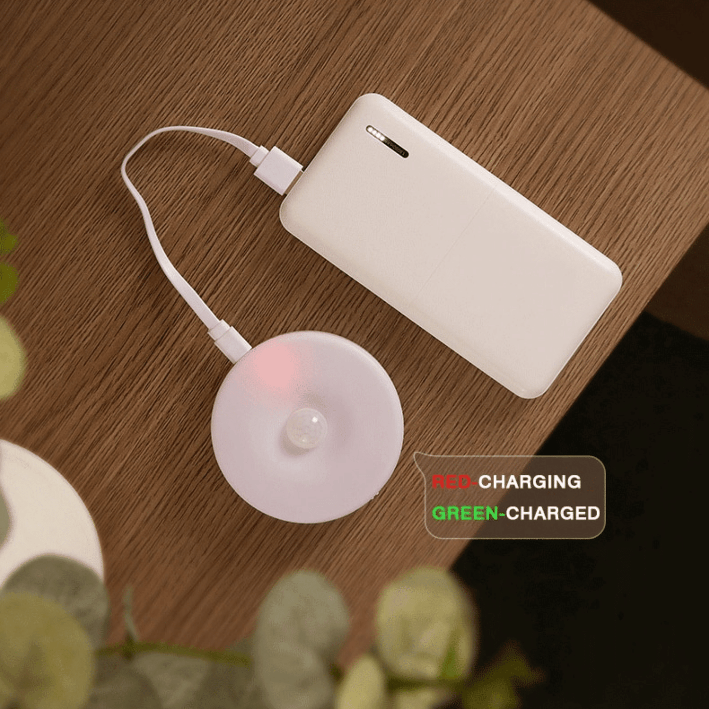 Motion Sensor Light Set
