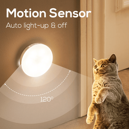 Motion Sensor Light Set