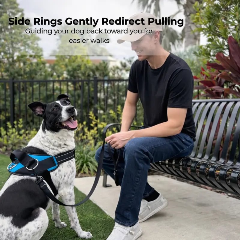 No-Pull Dog Harness 3-Point Leash Control. Reflective & Adjustable