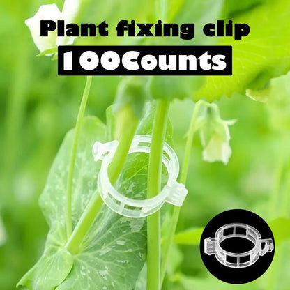 100 Counts Plant upright growth support device