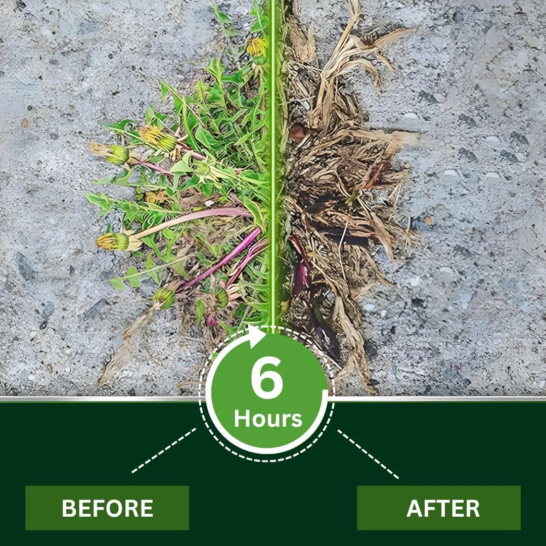 Professional Dual-Action Herbicide Kills Toughest Weeds in 6 Hours! Non-Glyphosate Max Strength Formula