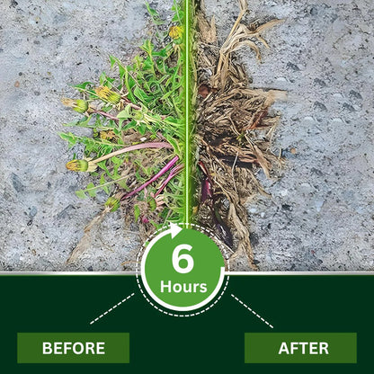 Professional Dual-Action Herbicide Kills Toughest Weeds in 6 Hours! Non-Glyphosate Max Strength Formula