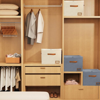 Clear-Lid Shoe Storage Box