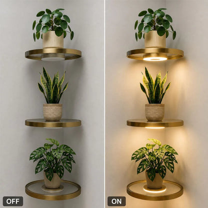 Floating Plant Shelf with Built-in Ambient LED Light