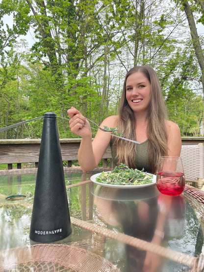 Outdoor Dining Fly Fan