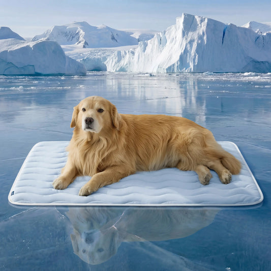 Bedsure Cooling Thin & Thick Mat for Dogs Q-MAX>0.4 Washable Pet Cooling Pad, No Gel, No Electric