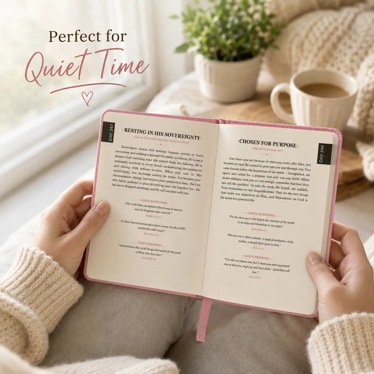 One Minute with God Women s 365-Day Study Bible