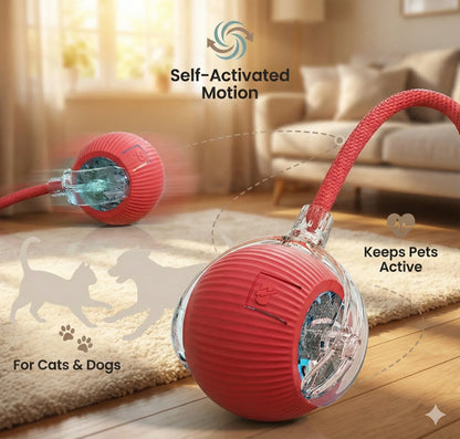 Automatic Pet Chase Balls