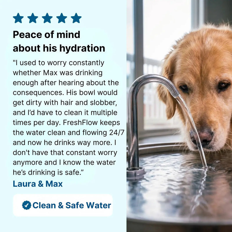 Stainless Pet Water Fountain