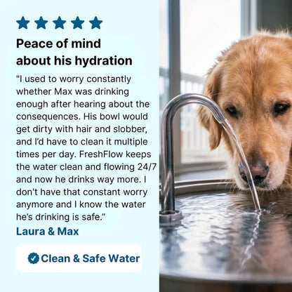 Stainless Pet Water Fountain