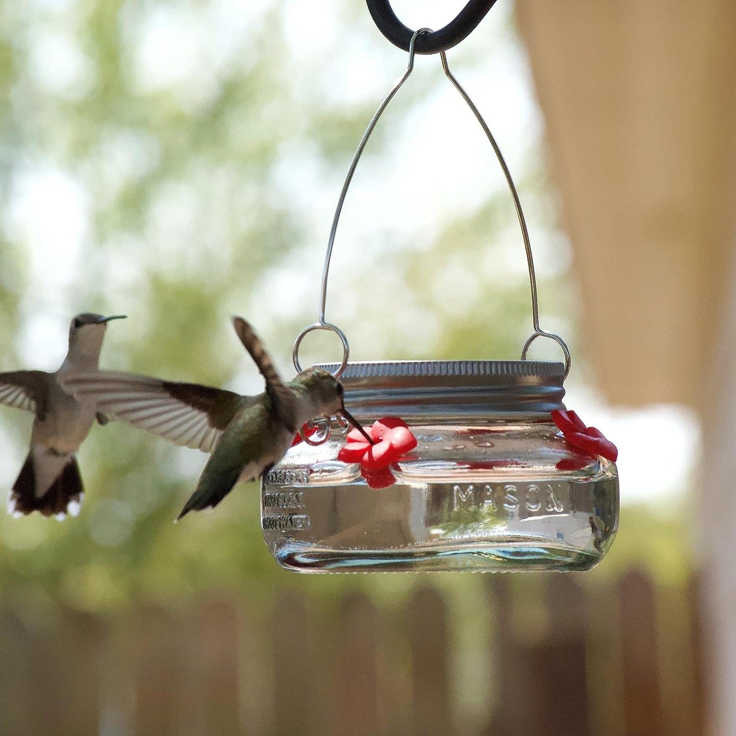 Four-Port Hummingbird Feeder