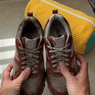 Padded Shoe Washing Bag