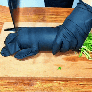 Special Grade Nitrile Disposable Gloves