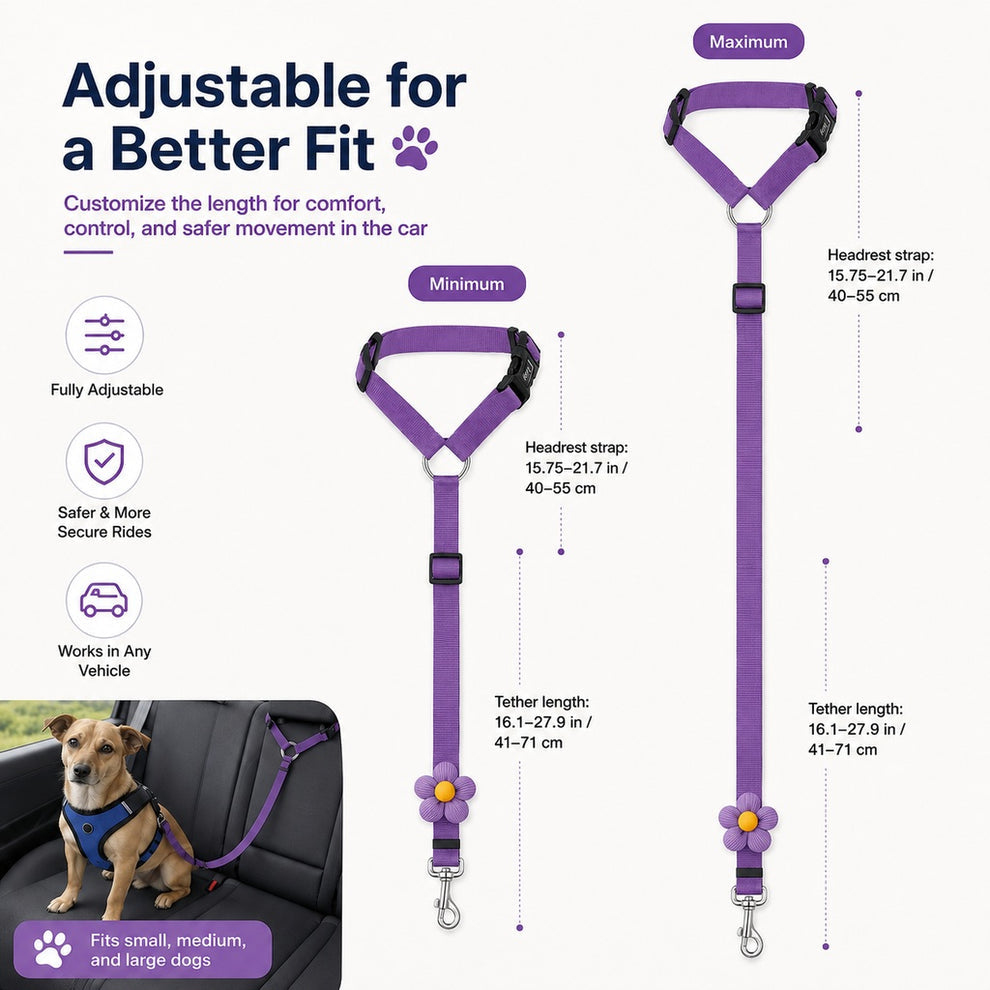2-in-1 Dog Car Seat Belt & Walking Leash
