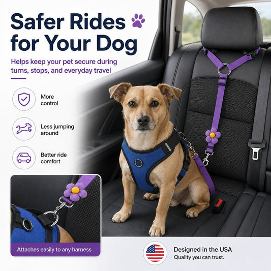 2-in-1 Dog Car Seat Belt & Walking Leash