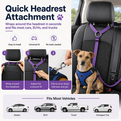 2-in-1 Dog Car Seat Belt & Walking Leash