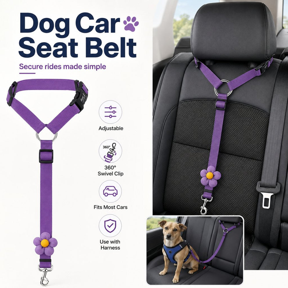 2-in-1 Dog Car Seat Belt & Walking Leash