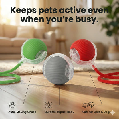 Automatic Pet Chase Balls