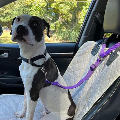 Dog Seatbelt Walking Leash