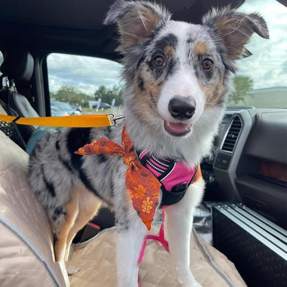 Dog Seatbelt Walking Leash