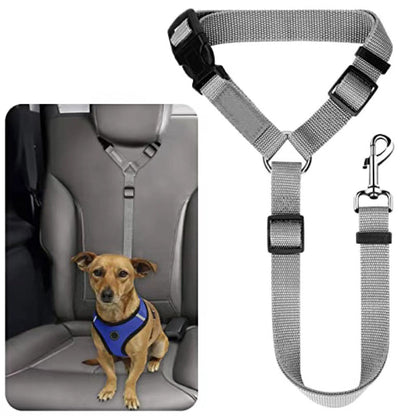 Dog Seatbelt Walking Leash