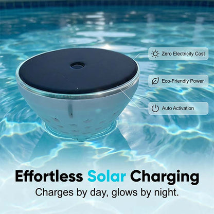 Solar Fish Projection Pool Light
