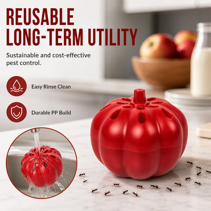 Pumpkin Fruit Fly Trap | 2/6 Pack