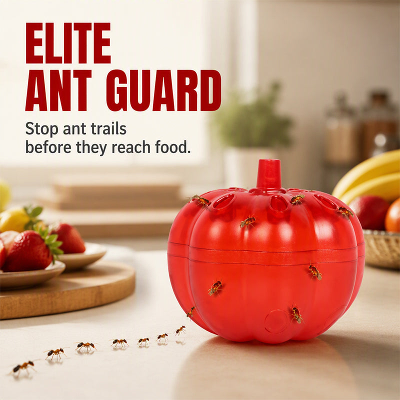 Pumpkin Fruit Fly Trap | 2/6 Pack