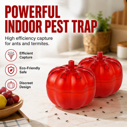 Pumpkin Fruit Fly Trap | 2/6 Pack