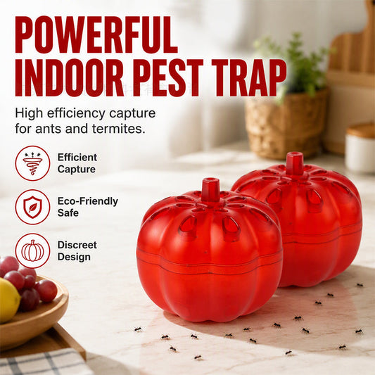 Pumpkin Fruit Fly Trap | 2/6 Pack