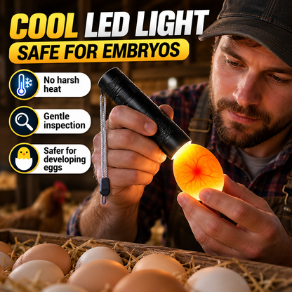 Rechargeable LED Egg Candler - Cool Light Embryo Inspection Tool