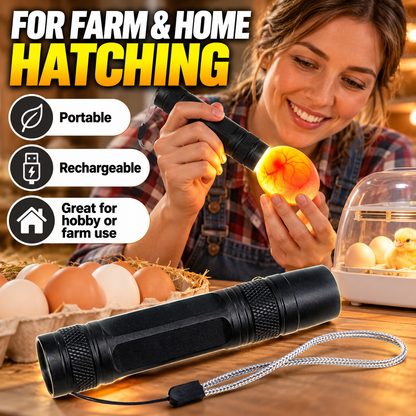 Rechargeable LED Egg Candler - Cool Light Embryo Inspection Tool