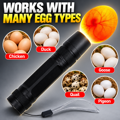 Rechargeable LED Egg Candler - Cool Light Embryo Inspection Tool