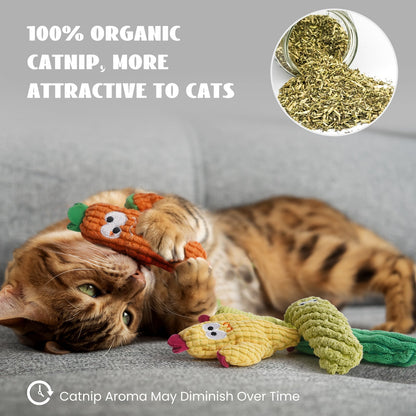 Cactus Catnip Toy Collection