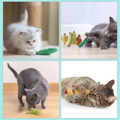 Cactus Catnip Toy Collection