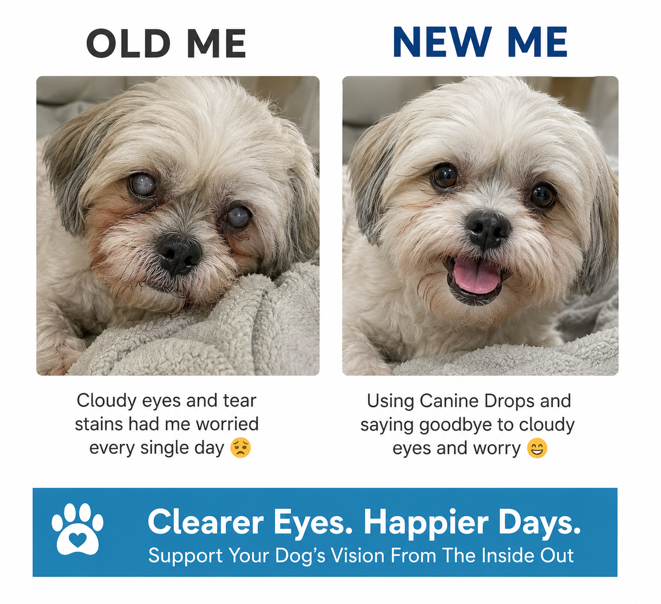Dog Eye Support Drops